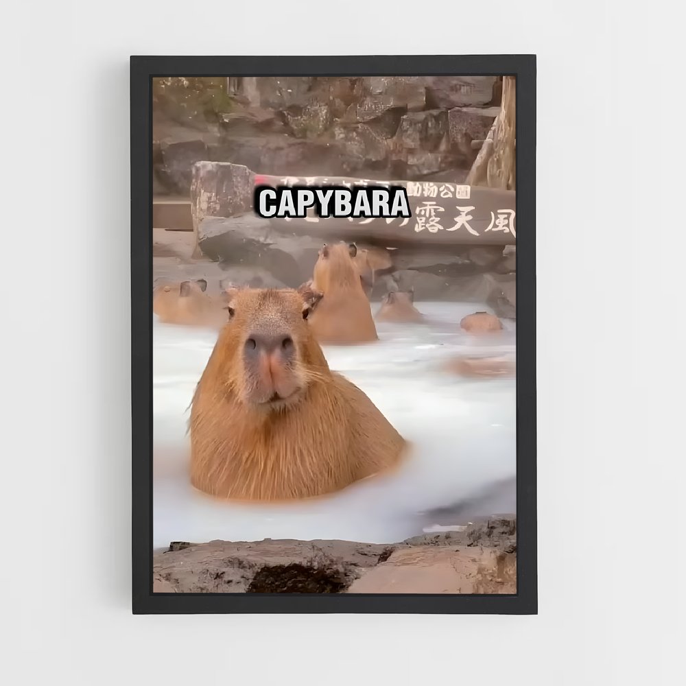 ap-capybara-4 cadre Noir