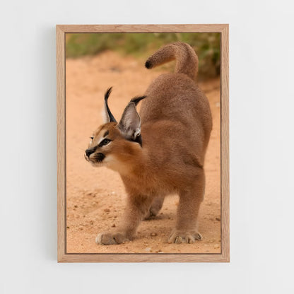 ap-caracal-3 cadre Bois clair