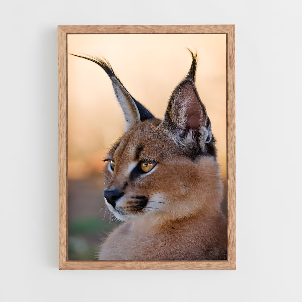 ap-caracal-4 cadre Bois clair