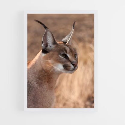 ap-caracal-7 cadre Blanc
