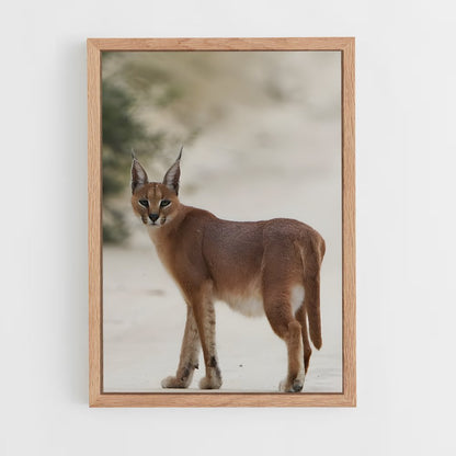 ap-caracal-8 cadre Bois clair