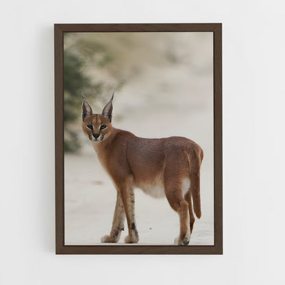 ap-caracal-8 cadre Bois foncé