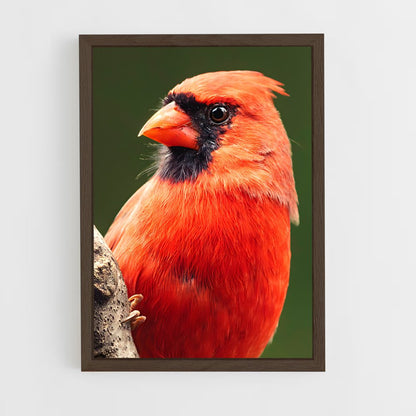 ap-cardinal-10 cadre Bois foncé