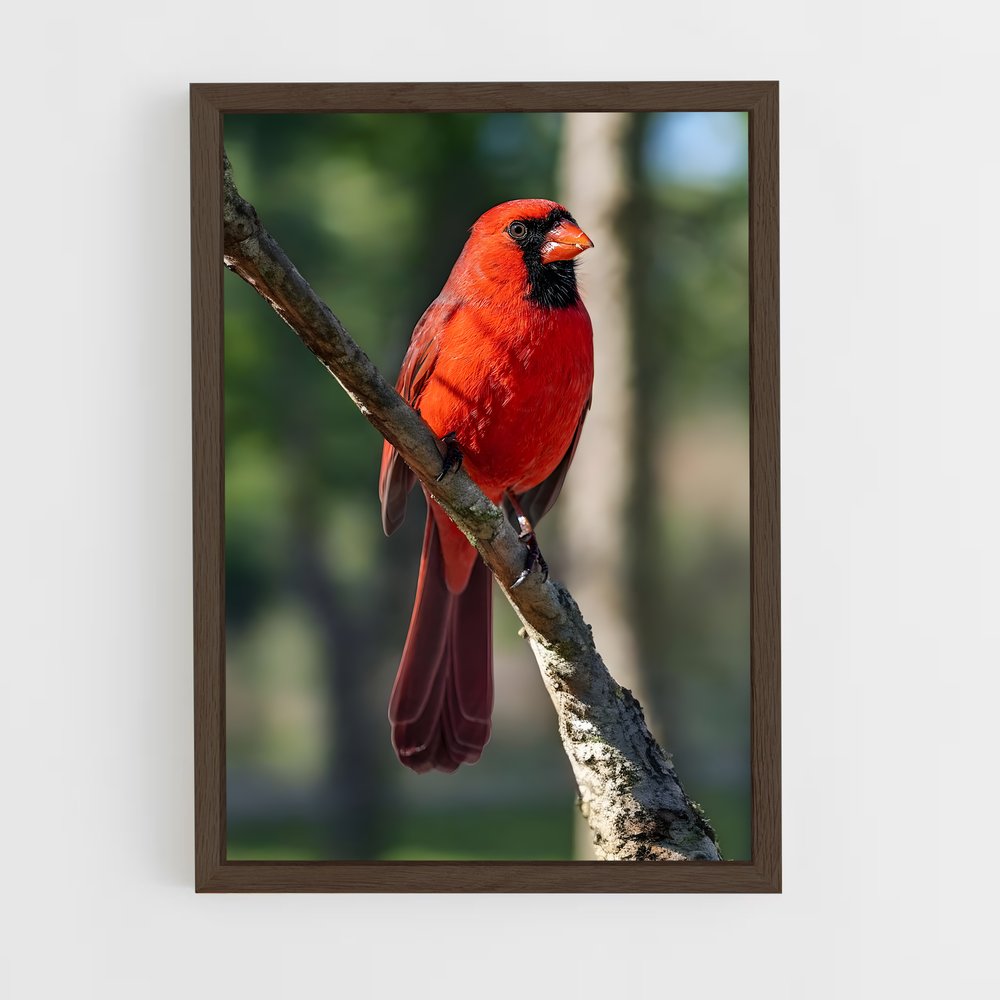 ap-cardinal-4 cadre Bois foncé