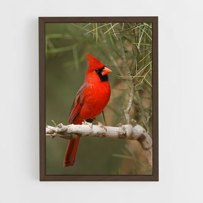 ap-cardinal-5 cadre Bois foncé