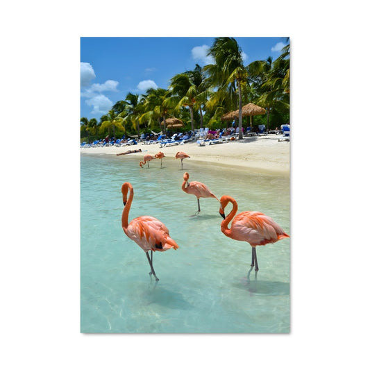 Poster Flamingo Bliss