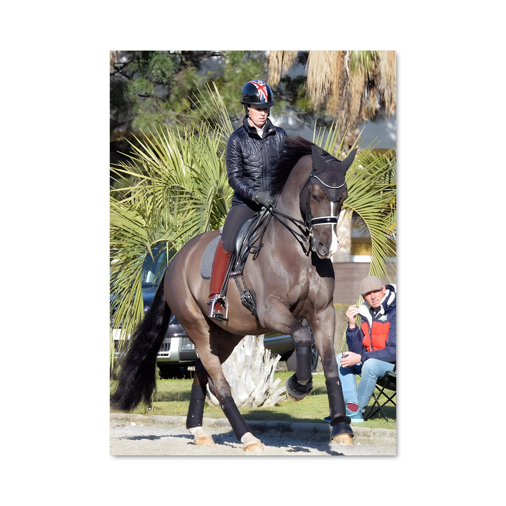 Poster Carl hester 67283