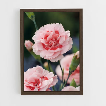 ap-carnation-8 cadre Bois foncé