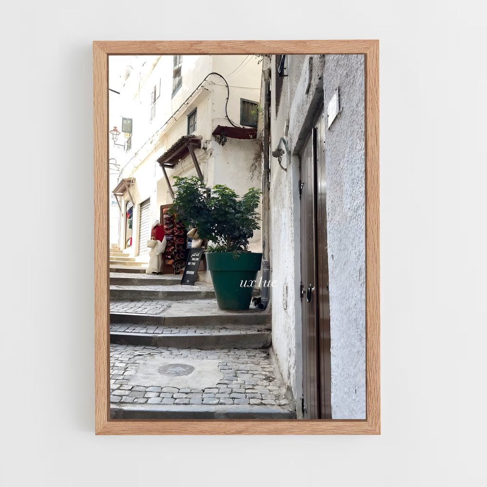 ap-casbah of algiers-3 cadre Bois clair