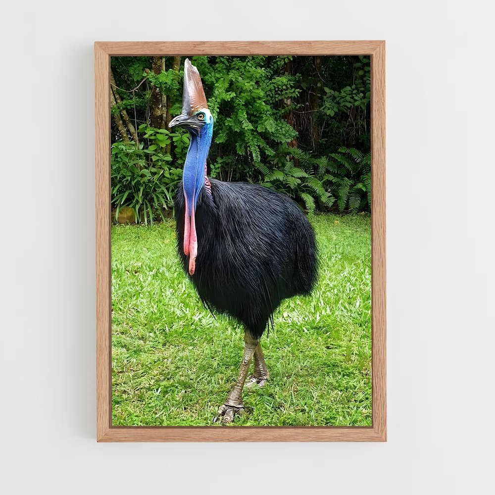 ap-cassowary-10 cadre Bois clair