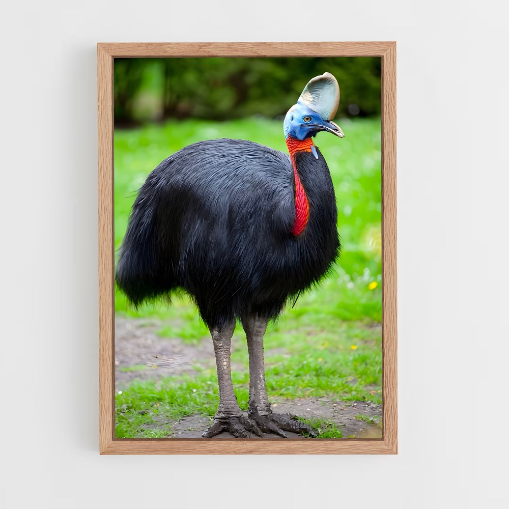 ap-cassowary-2 cadre Bois clair