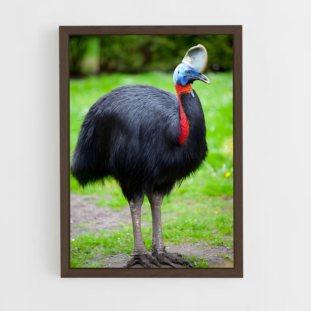 ap-cassowary-2 cadre Bois foncé