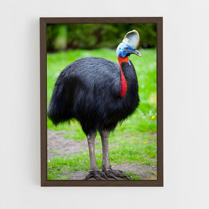 ap-cassowary-2 cadre Bois foncé