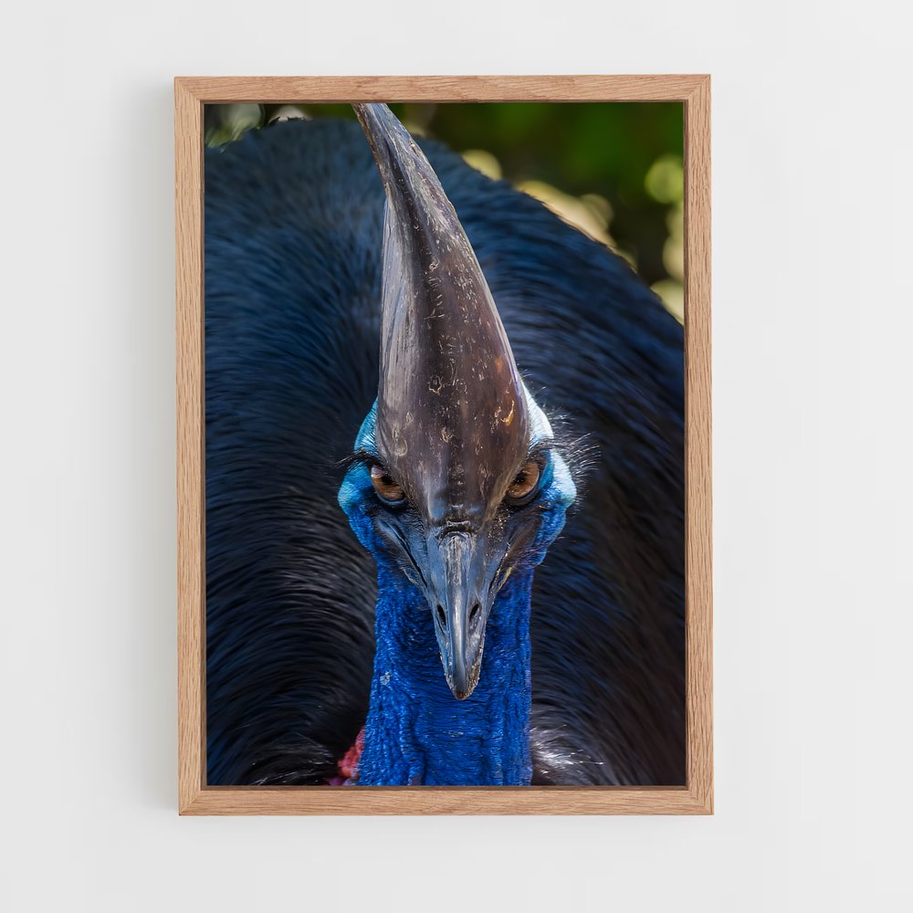 ap-cassowary-3 cadre Bois clair