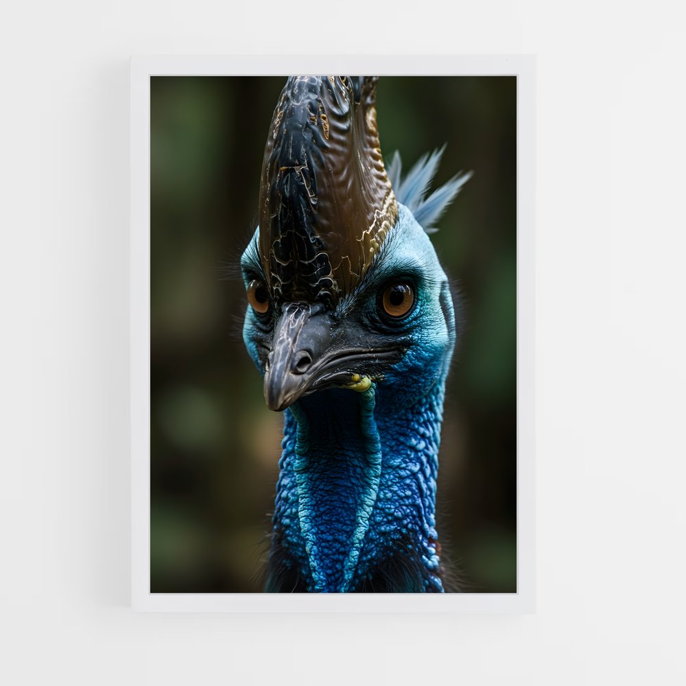 ap-cassowary-5 cadre Blanc