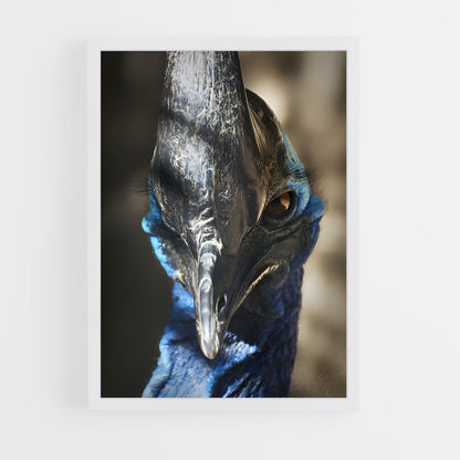 ap-cassowary-8 cadre Blanc