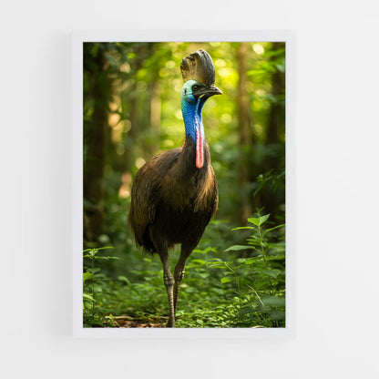 ap-cassowary-9 cadre Blanc