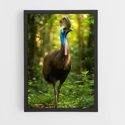 ap-cassowary-9 cadre Noir