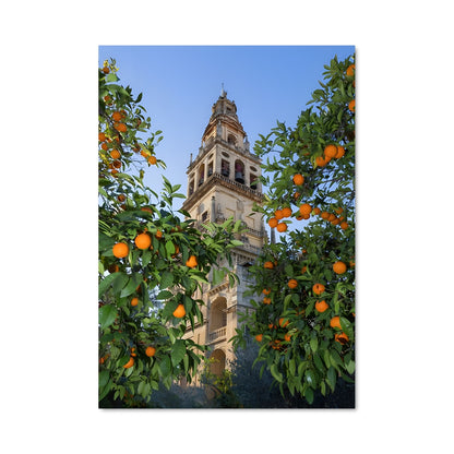 Poster Les Orangers de Cordoue