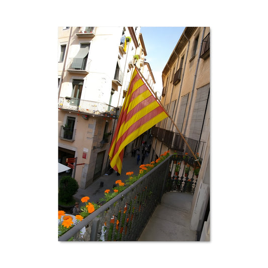 Poster Étendard Catalan