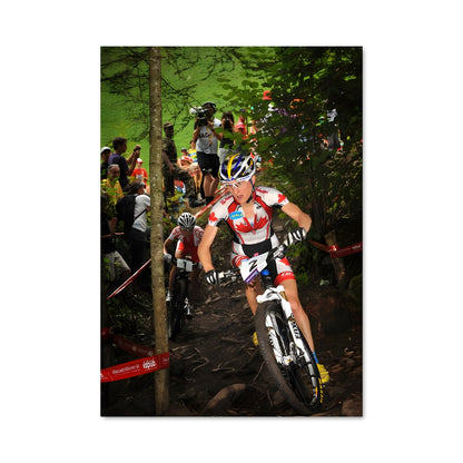 Poster Trail Rider