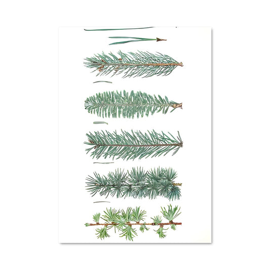 Poster Écorce en Éveil