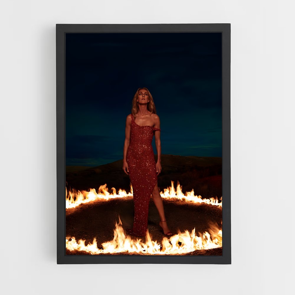 ap-celine dion-2 cadre Noir