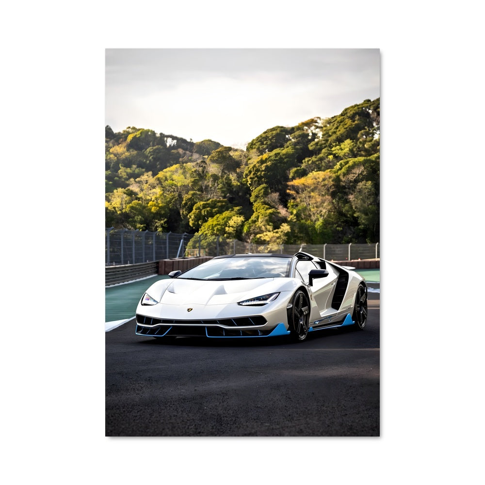 Poster Roadster Éblouissant