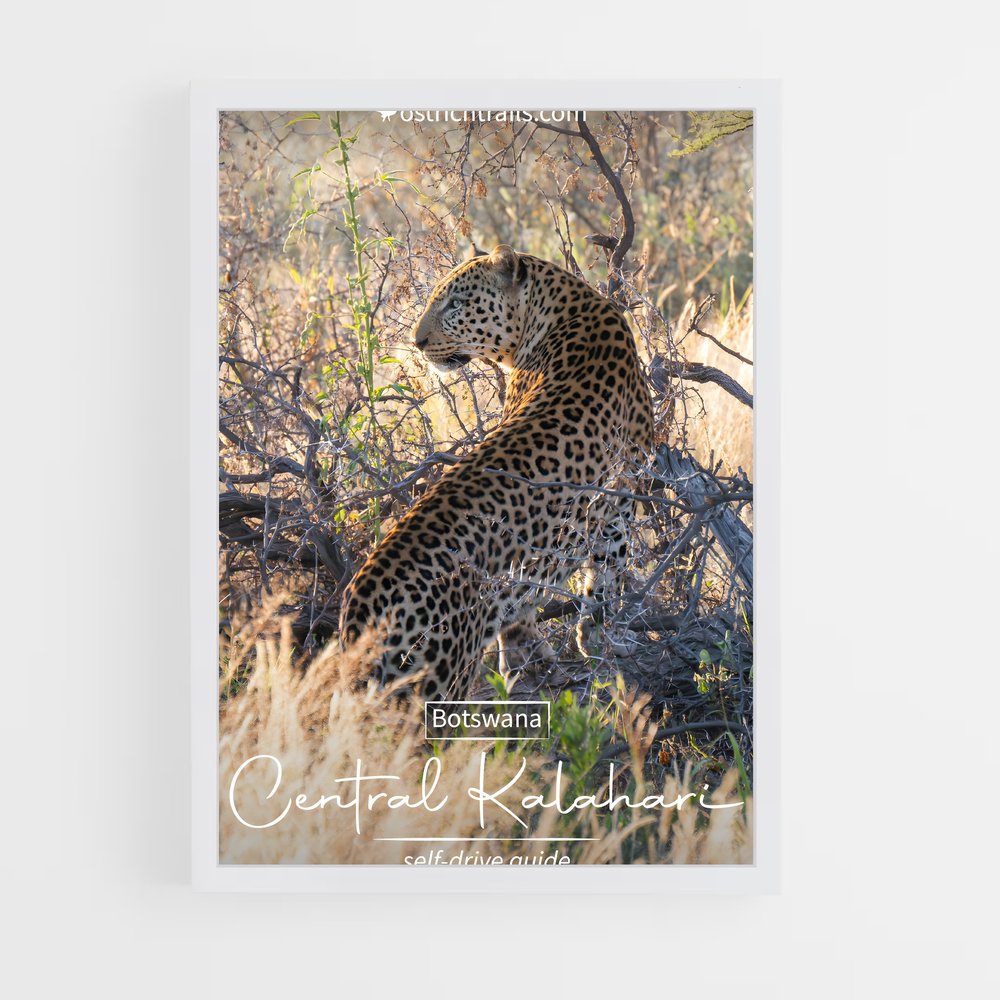 ap-central kalahari game reserve-1 cadre Blanc