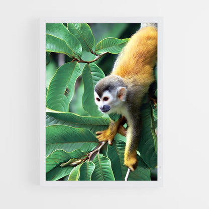ap-central suriname nature reserve-2 cadre Blanc