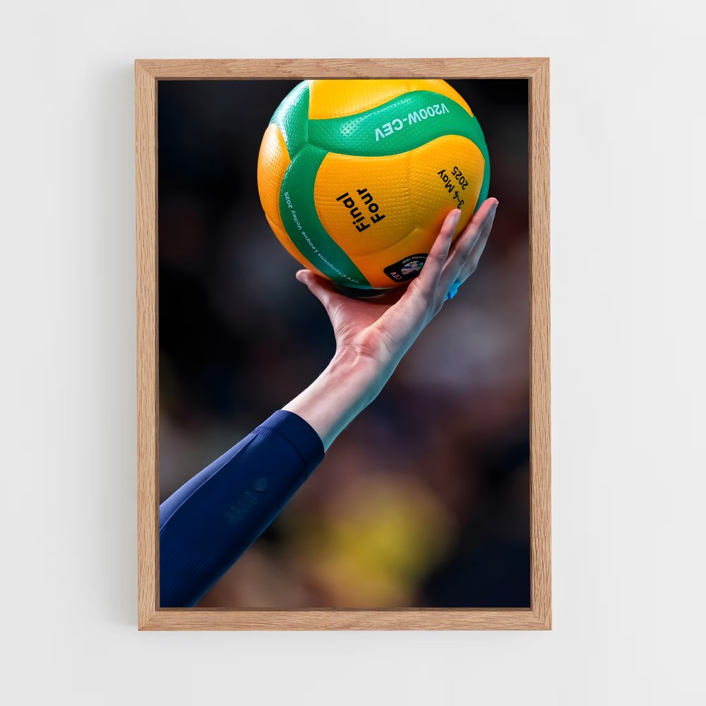 ap-cev champions league-2 cadre Bois clair