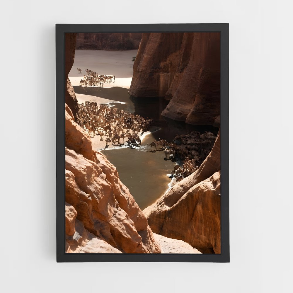 ap-chad-6 cadre Noir