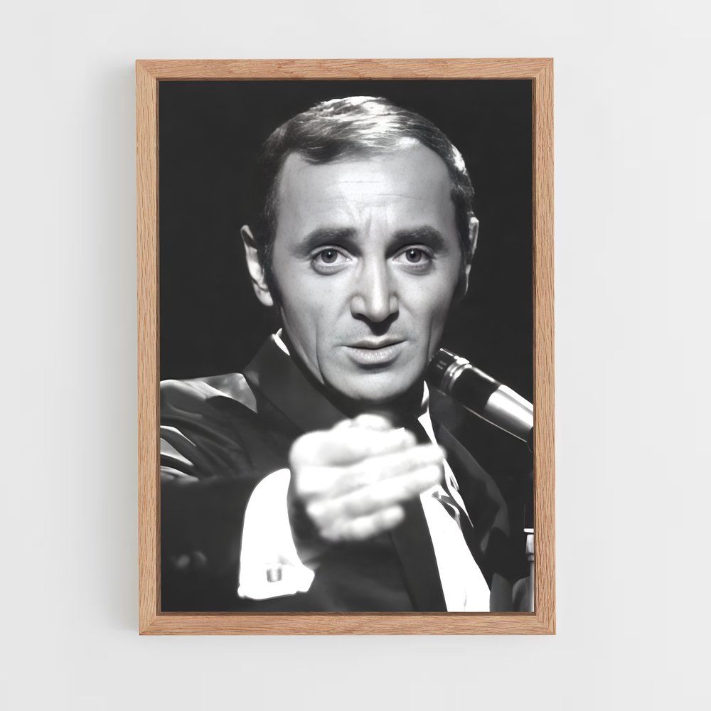 ap-charles aznavour-7 cadre Bois clair