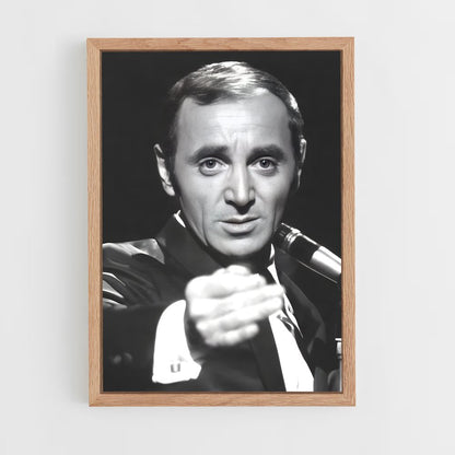 ap-charles aznavour-7 cadre Bois clair