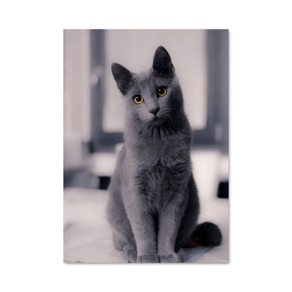 Poster Chat Rêveur