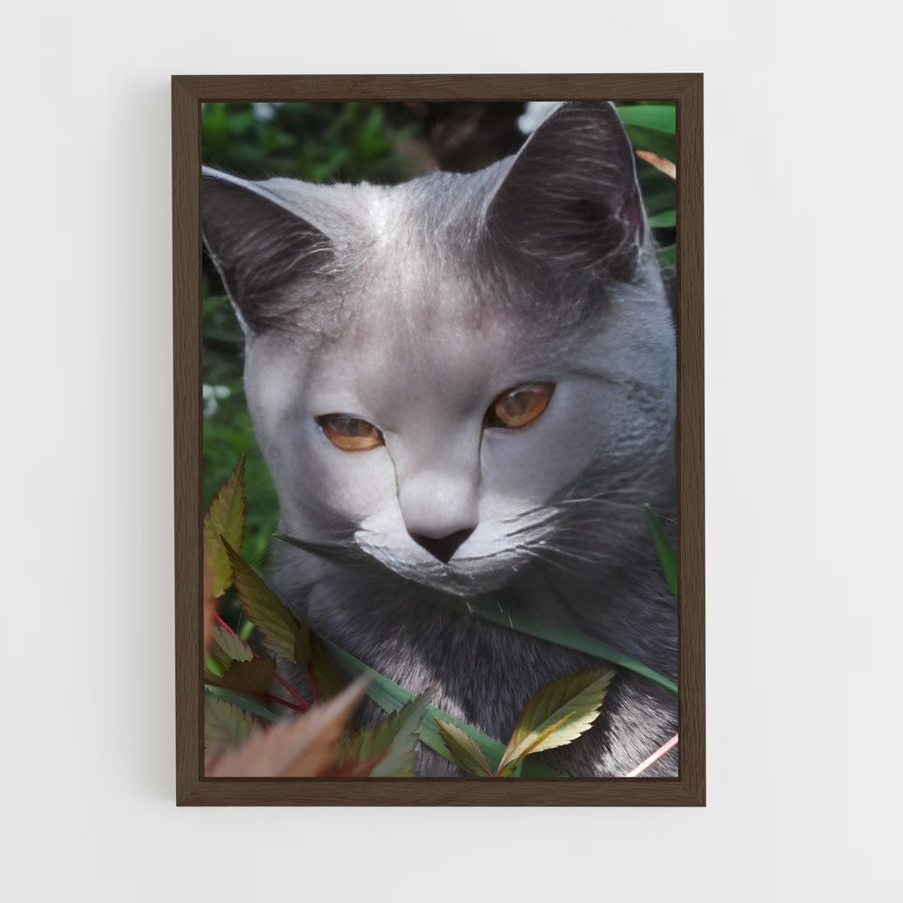 ap-chartreux-6 cadre Bois foncé