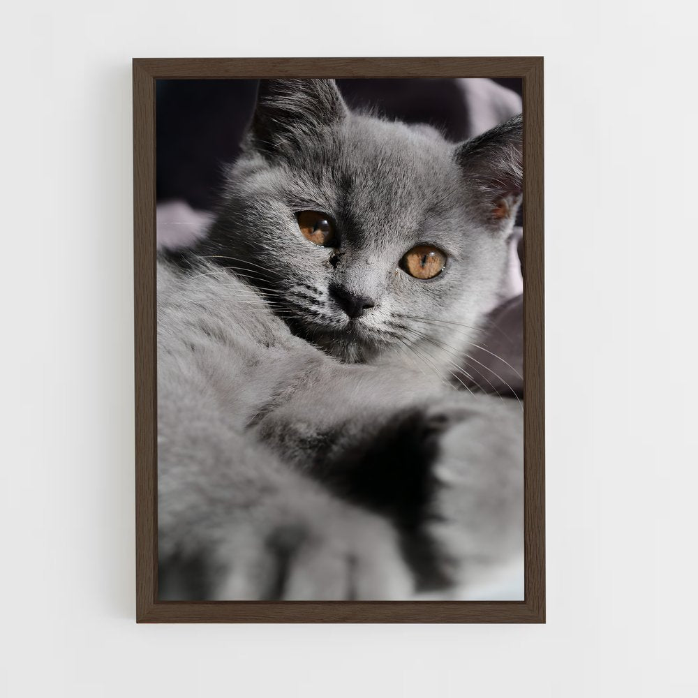 ap-chartreux-9 cadre Bois foncé