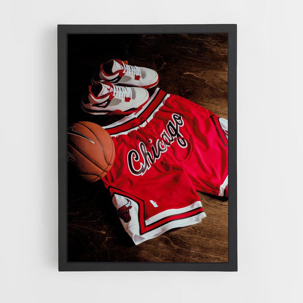 ap-chicago bulls-9 cadre Noir