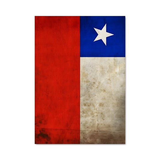 Poster Texas en Fête