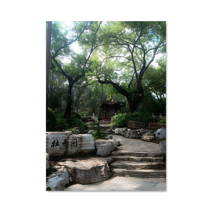 Poster China 87772