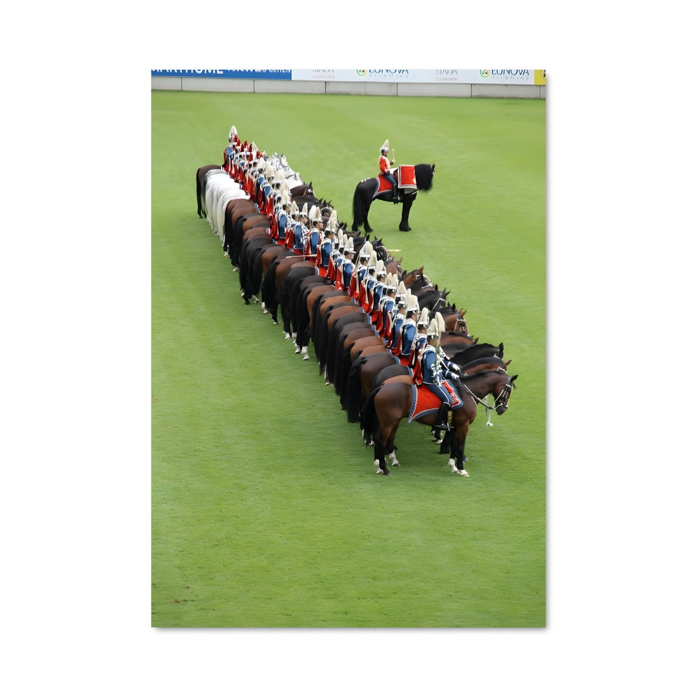 Poster Chevaux en Liberté