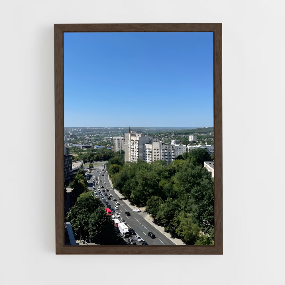 ap-chisinau-5 cadre Bois foncé