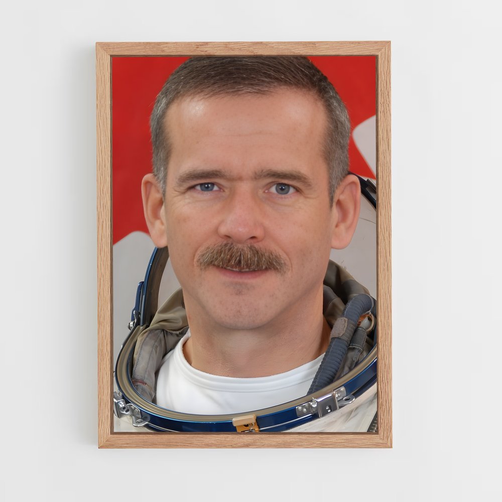 ap-chris hadfield-1 cadre Bois clair