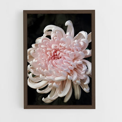 ap-chrysanthemum-4 cadre Bois foncé