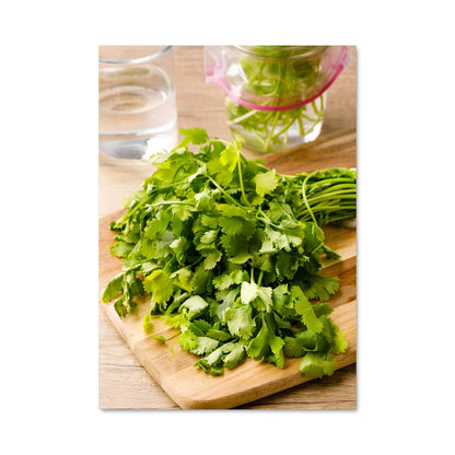 Poster Fraîcheur Culinaire