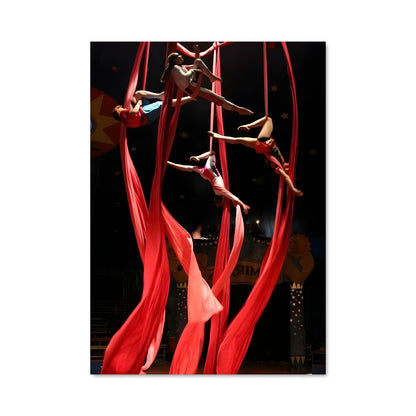 Poster Pole Dance Spectacle