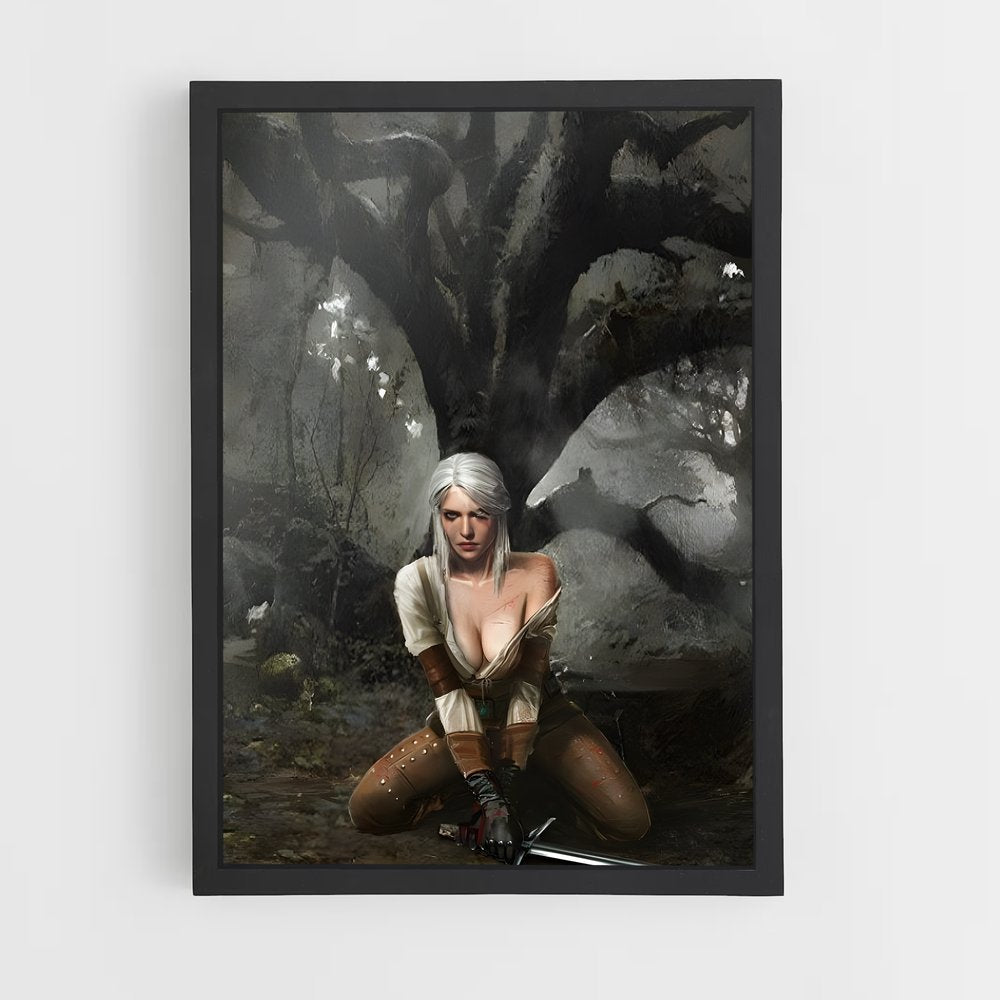 ap-ciri witcher-8 cadre Noir