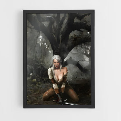 ap-ciri witcher-8 cadre Noir