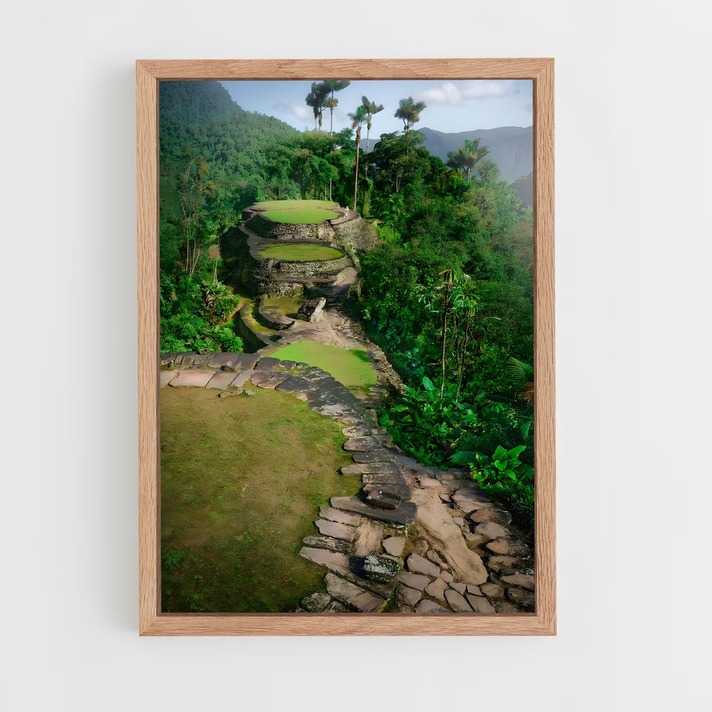 ap-ciudad perdida-1 cadre Bois clair