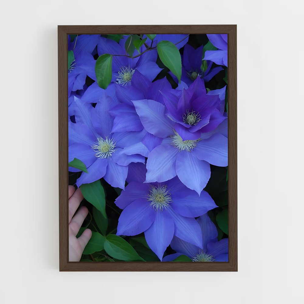 ap-clematis-2 cadre Bois foncé